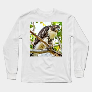 Red Tailed Hawk Long Sleeve T-Shirt